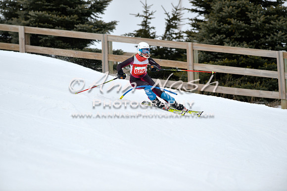 alpine_2015-01-22_11-54-48_DSC_0792_©AnnNashPhotographyLLC_2015