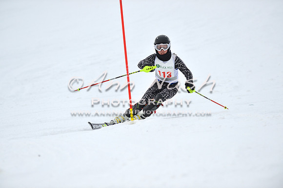alpine_2015-01-22_11-55-21_DSC_0822_©AnnNashPhotographyLLC_2015