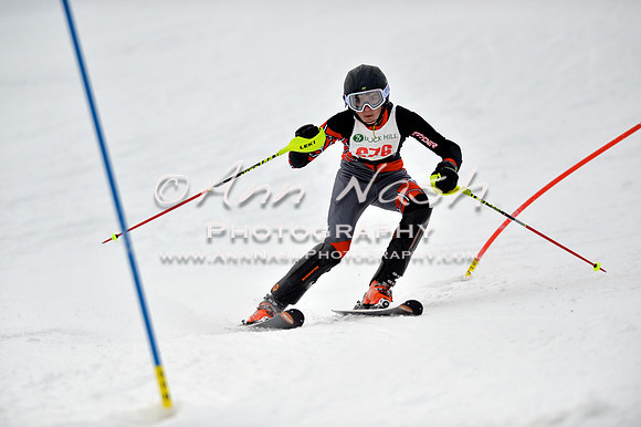 alpine_2015-01-22_12-42-22_DSC_2161_©AnnNashPhotographyLLC_2015