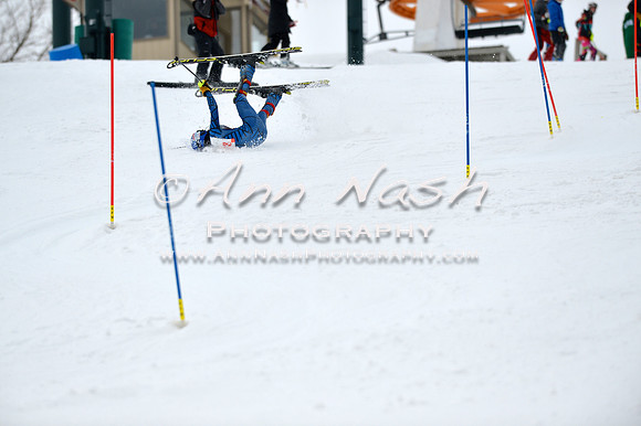 alpine_2015-01-22_12-01-26_DSC_1005_©AnnNashPhotographyLLC_2015